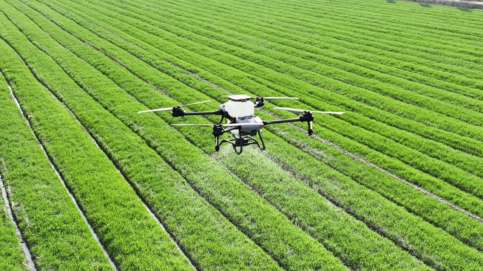 A large field of green grass with a small plane in the middle of it